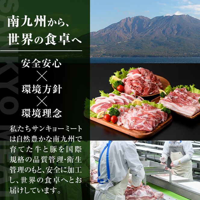 isa429 九州産 豚肉4種セット (合計2.25kg)【サンキョーミート株式会社】