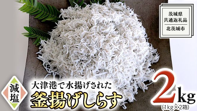 y錧vszÍ`g g炷 2kg ( 1kg × 2 ) i錧ʕԗiFksj炷 炷  ks g VN VX CN Ⓚ qǂ JVE  mCY002usn
