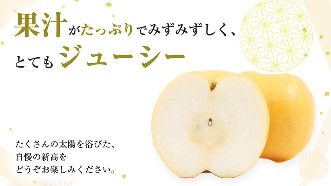 【 2026年9月下旬発送開始 】 茨城県産 梨 新高 （約 5kg ） 6～12玉 フルーツ 果物 なし ナシ 旬 新鮮 甘い 国産 ジューシー みずみずしい 先行予約 [CL005us]	