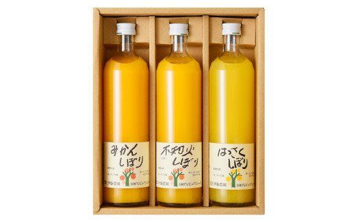ya̎RLcsz483.ɓ_ 100sAW[X 750ml×3{MtgZbgiA483-2j