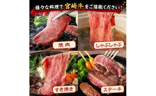 宮崎牛 堪能セット 【プレミアム】 合計1.9k【 肉 牛肉 国産 宮崎県産 黒毛和牛 和牛 ロースステーキ カルビ 】[D11415]