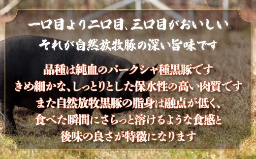 鹿追産 自然放牧黒豚 圧巻の豚肉 十勝名物 豚丼 SKN007