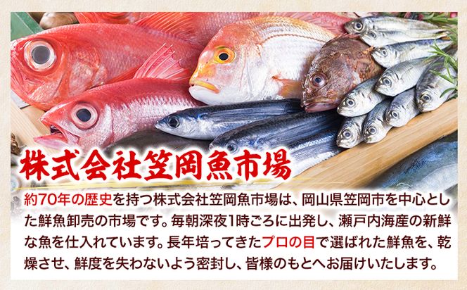 干物 ひもの 海鮮 熟成干物セット 4 ~ 5 種 セット 笠岡魚市場《45日以内に出荷予定(土日祝除く)》 岡山県 笠岡市 旬 魚 お魚---A-04---