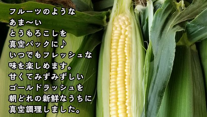 ＜先行予約＞ 2023年7月中旬以降発送 【訳あり】加熱殺菌済み 真空とうもろこし （ゴールドラッシュ） 約3kg とうもろこし トウモロコシ 無添加 保存料不使用 真空 真空パック 数量限定[AU024ya]