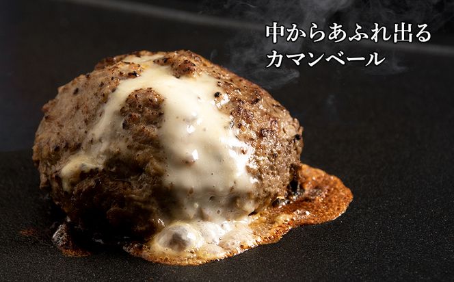定期便12ヵ月 お楽しみ 北海道産 白老牛 カマンベールチーズハンバーグ 10個セット 冷凍 チーズ イン ハンバーグ BY117