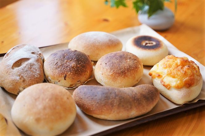 ymɓszA YEVRy ΗqĂp H069-021