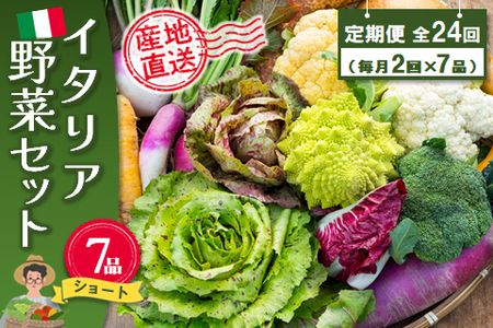 年間定期便24回 イタリア野菜セットショート 7品 【有機野菜 おまかせ野菜セット イタリア野菜 西洋野菜 定期便】(H078147)