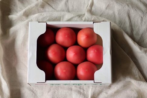 この道40年の農家から直送 完熟！桃太郎トマト15～24玉　H139-020