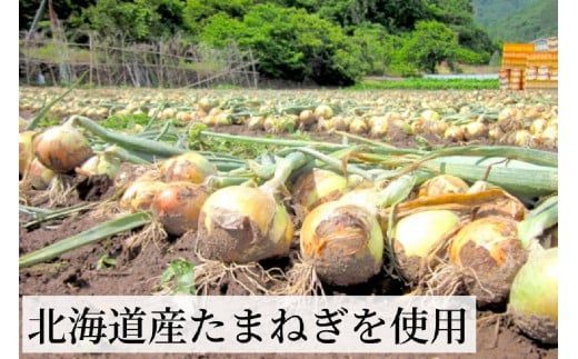 《7営業日以内に発送》旨味をぎゅっと凝縮 北海道たまねぎのポタージュ 1袋 ( たまねぎ コク 旨味 全国１位 玉ねぎ生産地 たまねぎポタージュ )【125-0006】