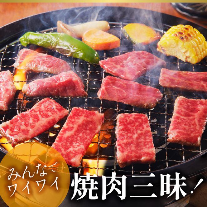 宮崎牛　プレミアム焼肉セット　B101