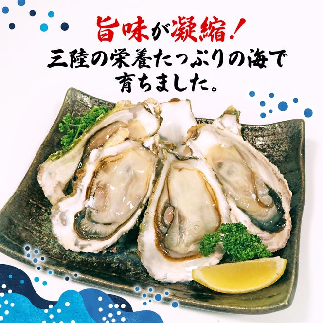 岩手県産冷凍殻付き牡蠣（生食可）10kg(180～230g）殻付 殻付き 生食 冷凍 殻付き 生食用 三陸 三陸産 大船渡 [koku005_180]