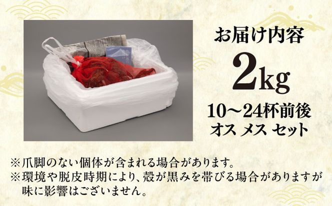 【先行予約】【2026年11月下旬以降順次発送】新鮮 活モクズガニ 2kg (10〜24杯前後) オス メス セット《築上町》【明青丸】 蟹 カニ カニ味噌[ABCB006]