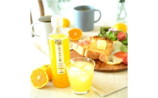 ya̎RLcsz500.ɓ_̓X݂|W{Zbg(A500-2)