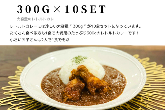 【キャンプカレー】大容量300gのレトルトカレー10食セット！ 166-007