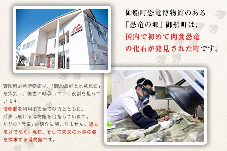 熊本県御船町 御船町恐竜博物館観覧チケット（大人3名様） 御船町恐竜博物館《30日以内に出荷予定(土日祝除く)》---sm_kyoryuticket_30d_24_7500_a3---