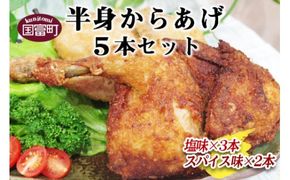 ＜半身からあげ5本セット(塩味×3本 スパイス味×2本)＞準備でき次第翌々月までに順次発送【a0032_hi】