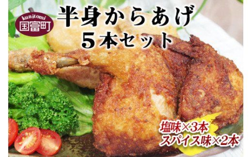 ＜半身からあげ5本セット(塩味×3本 スパイス味×2本)＞翌月末迄に順次出荷【a0032_hi】