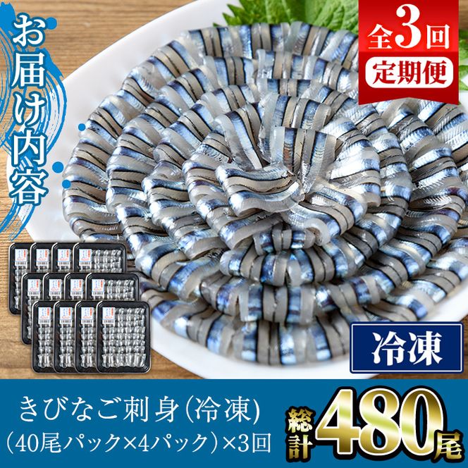 ＜定期便・全3回(冷凍便)＞鹿児島県産！阿久根のきびなごお刺身セット(計480尾・40尾×4P×3回) 冷凍 魚介類 海鮮 魚 きびなご キビナゴ 刺身 さしみ 刺し身 青魚 子魚 小分け【椎木水産】akn054-14