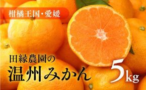 【先行予約】【数量限定】田縁農園の温州みかん（生果）5kg ｜ 柑橘 みかん ミカン フルーツ 果物 愛媛 ※2024年11月上旬～12月下旬頃に順次発送予定