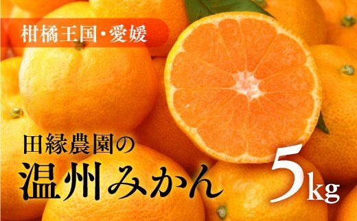 【先行予約】【数量限定】田縁農園の温州みかん（生果）5kg ｜ 柑橘 みかん ミカン フルーツ 果物 愛媛 ※2024年11月上旬～12月下旬頃に順次発送予定