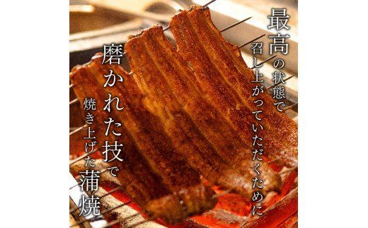 名店の味 宮崎県産 うなぎ蒲焼 3尾 (ウナギ390g以上) 国産 鰻 蒲焼き [G8404]