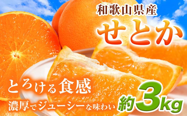 とろける食感!ジューシー柑橘 せとか 約3kg 魚鶴商店 [2月下旬-3月下旬頃出荷] 和歌山県 日高町 みかん 柑橘 果物 フルーツ 送料無料---wsh_uot113_2g3g_25_20000_3kg---