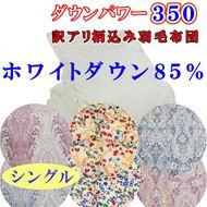 【訳あり】羽毛布団 羽毛掛け布団 シングル お任せ ホワイトダウン85% 寝具 羽毛布団  羽毛ふとん 冬用羽毛布団 本掛け羽毛布団 本掛け羽毛ふとん150×210cm dp350 FAG059