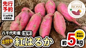 【 先行予約 2024年11月中旬以降発送 】 訳あり 無選別 八千代町産 紅はるか 生芋 土付き 約 5kg さつまいも サツマイモ 芋 いも イモ ワケアリ 訳アリ 八千代町 ふるさと納税 5000円 [AX042ya]