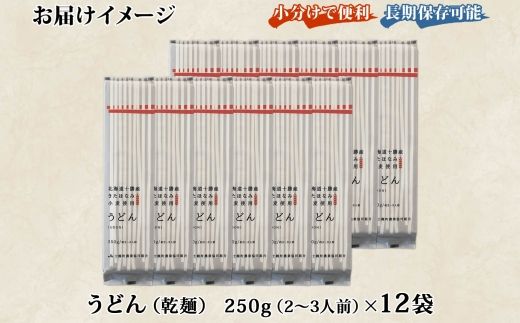 北海道産 うどん 250g×12袋 2-3人前 乾麺 干しうどん 麺 めん きたほなみ 小麦使用 小分け 個包装 保存 備蓄 贈り物 ギフト 送料無料 北海道 十勝 士幌町 【N05-2】