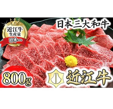 近江牛A5ランク焼肉美味セット【800g】【DG10SM】