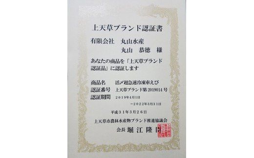 活き〆超急速冷凍車えび 250g（約8～11尾） 車海老 車えび 車エビ 海老 えび エビ 刺身 刺し身 真空パック 海鮮 冷凍 熊本県 上天草市【2025年10月下旬より順次発送予定】