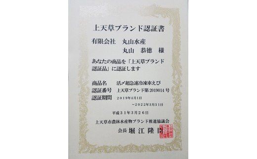 活き〆超急速冷凍車えび 250g（約8～11尾） 車海老 車えび 車エビ 海老 えび エビ 刺身 刺し身 真空パック 海鮮 冷凍 熊本県 上天草市