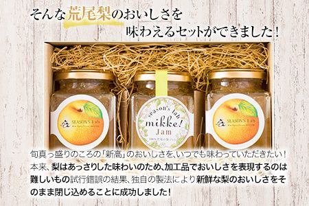 熊本県産梨 梨ジャム3個セット あなた本舗《30日以内に出荷予定(土日祝除く)》---sn_anatajam_30d_r7_12500_540g---