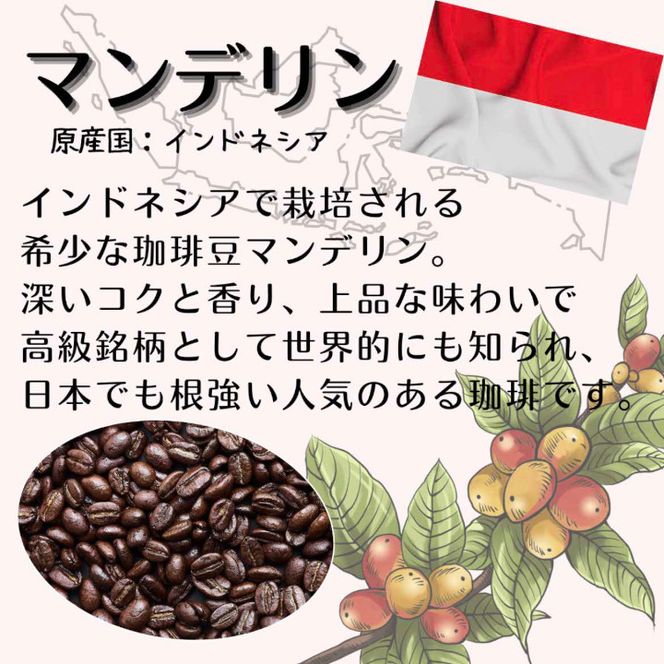 QB-12 【定期便】自家焙煎 人気珈琲豆 3種セット（3か月）（挽き）