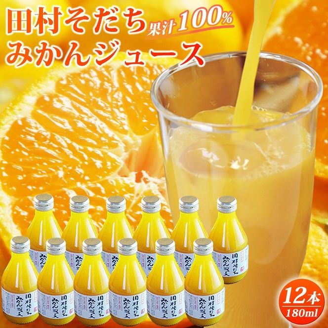 果汁100%　田村そだちみかんジュース　180ml×12本 XF018