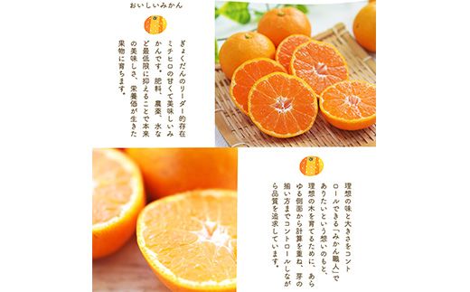 ぎょくだん『ミチヒロ』のみかん★約5kg(サイズおまかせ) 予約受付中 フルーツ 秋 旬★熊本県玉名郡玉東町『熊本・玉東、玉東町段々畑男子団。』みかん ぷらっとぎょくとう《10月下旬-1月下旬出荷》---sg_michimikan_p101_r7_11000_5kg---