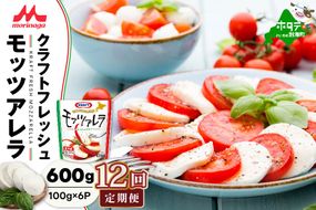 【定期便】森永乳業 モッツァレラチーズ 600g(100g×6P) × 12ヵ月【全12回】