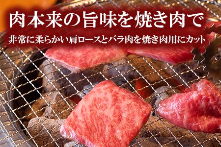 くまもと黒毛和牛 焼肉用ロース・カルビ 500g 《60日以内に出荷予定(土日祝除く)》 熊本県 長洲町 くまもと黒毛和牛 黒毛和牛 牛肉 肉 焼き肉 株式会社 羽根(出荷元：株式会社酒湊)---sn_fhnroka_60d_24_14500_500g---