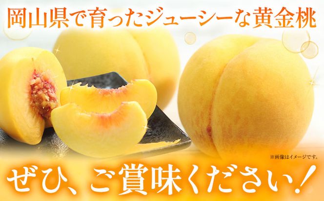 ご家庭用 おかやまの黄金桃 約1.8kg 令和6年産 先行予約 《8月下旬-9月中旬頃出荷(土日祝除く)》 桃 黄桃 黄金桃 晴れの国おかやま館 フルーツ 果物 果実 岡山県 笠岡市---A-180c---