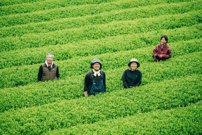 お茶 在来種 + かなやみどり 各100g / 松井製茶工場 / 熊本県 五木村 [51120152] 緑茶