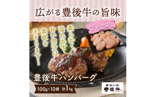 豊後牛ハンバーグ「プレーン」1kg_1201R
