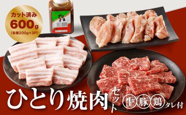 宮崎県産焼肉３種セット【タレ付き】（牛・豚・鶏） 計６００ｇ  カット済み  K16_0079_1