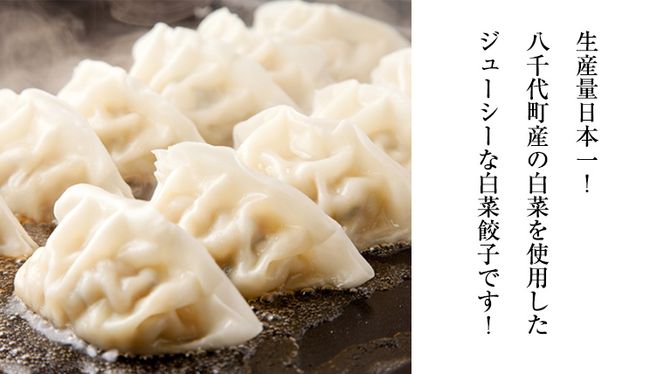 【生産量日本一！】総重量3750g! 八千代町の白菜を使った ジューシー白菜餃子 150個（冷凍） ぎょうざ 冷凍餃子 惣菜 中華 点心 お取り寄せ ギョーザ ギョウザ 小分け おつまみ [BN004ya]