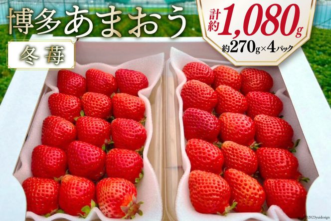 先行受付 【 博多あまおう 】 いちご 約270g×4p / エイチアンドフューチャーズ / 福岡県 筑紫野市 [21760472] 果物 フルーツ いちご イチゴ 苺 朝採り 新鮮