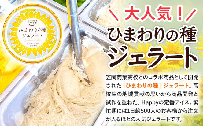 ひまわりの種ジェラート 30個セット 笠岡ジェラート工房ハッピーのカップアイス 《45日以内に出荷予定(土日祝除く)》ジェラート アイス アイスクリーム ミルク ヒマワリの種 デザート---H-13---