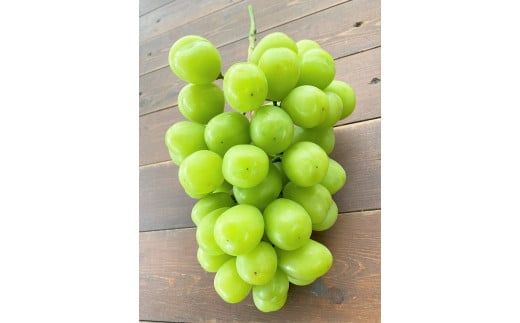 ymɓszy2026Nz[I ݂Ȃ̉傫VC}XJbg 800gȏi1[jyʌz t[c H004-152