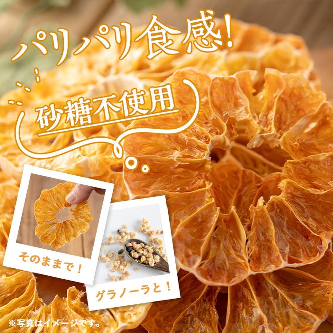 isa568 《数量限定》ドライフルーツボンタン「そのまんまドライしました。」(計4袋・各20g) 【薩摩美食倶楽部】