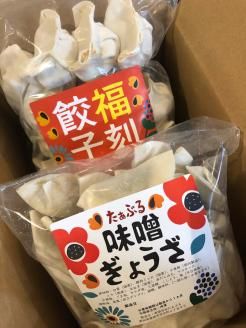 【3か月定期便】居酒屋のおかあちゃん手作り “パリパリひと口ぎょうざ”と“もちもち餃子”コラボセット 合計90個 H136-044