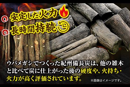 紀州備長炭 荒並 約5kg 望商店 《30日以内に出荷予定(土日祝除く)》 和歌山県 日高川町 備長炭 紀州備長炭 炭 約5kg 高級白炭---wshg_nzm4_30d_23_21000_5kg---