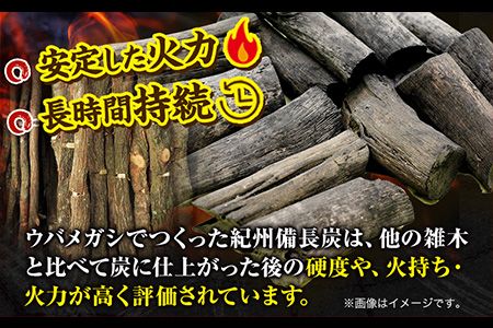 紀州備長炭 小丸 約15kg 望商店 《30日以内に出荷予定(土日祝除く)》 和歌山県 日高川町 備長炭 紀州備長炭 炭 約15kg 高級白炭---wshg_nzm9_30d_23_77000_15kg---